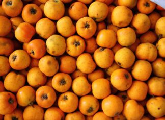 Tejocote: el fruto que ignoramos 11 meses y en diciembre